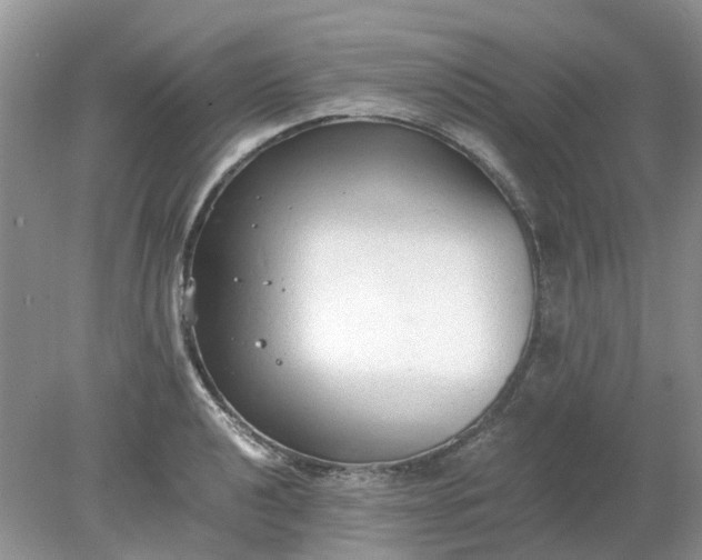 X0000078281040200611172051