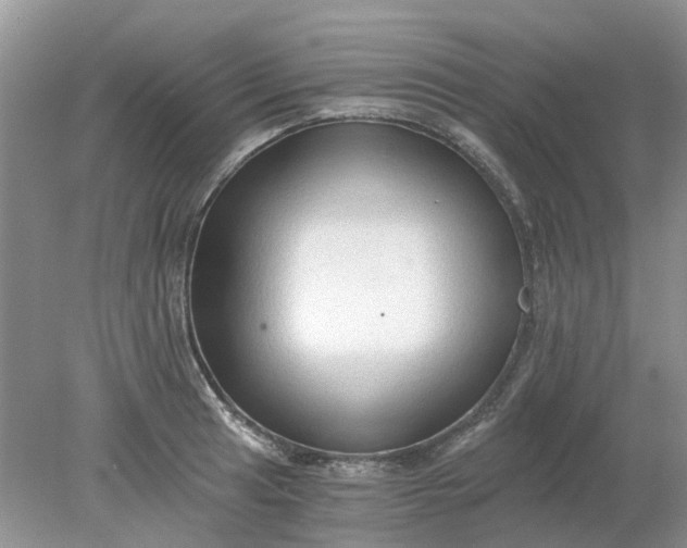 X0000078281041200611172051