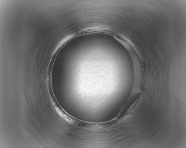 X0000078281042200611172051