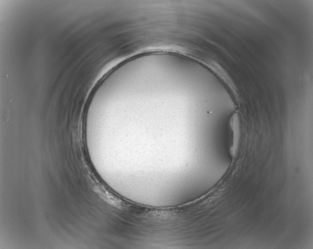 X0000078281044200611172051