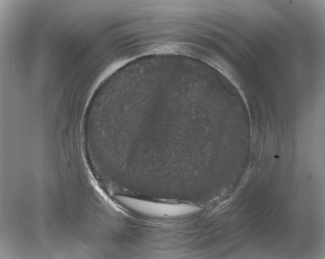 X0000078281045200611172051