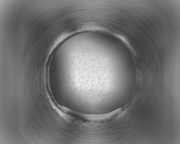 X0000078281046200611172051