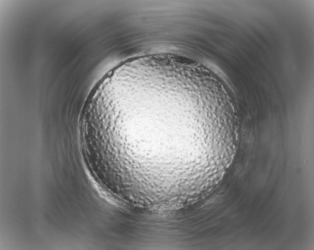 X0000078281047200611172051