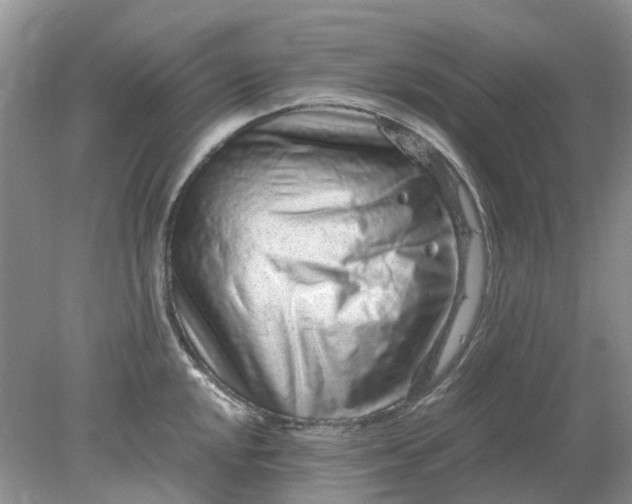 X0000078281048200611172051