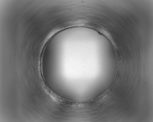 X0000078281051200611172051