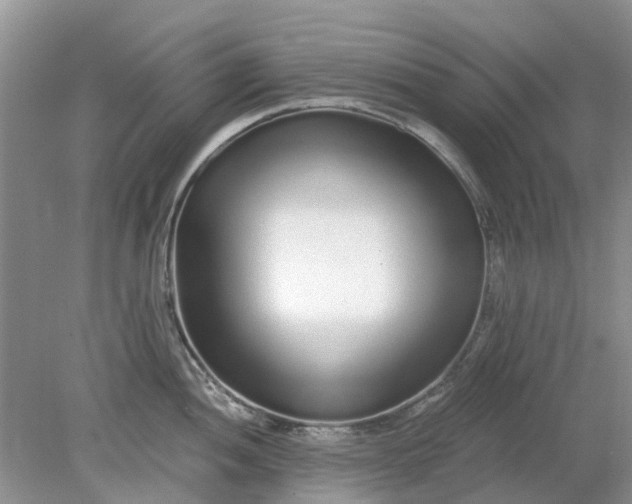 X0000078281052200611172051