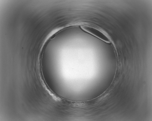 X0000078281053200611172051