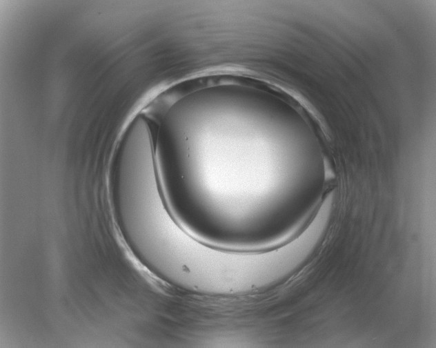 X0000078281054200611172051