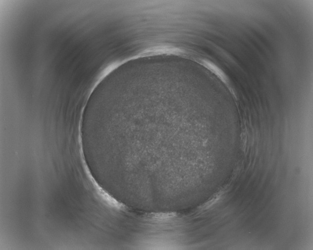 X0000078281055200611172051