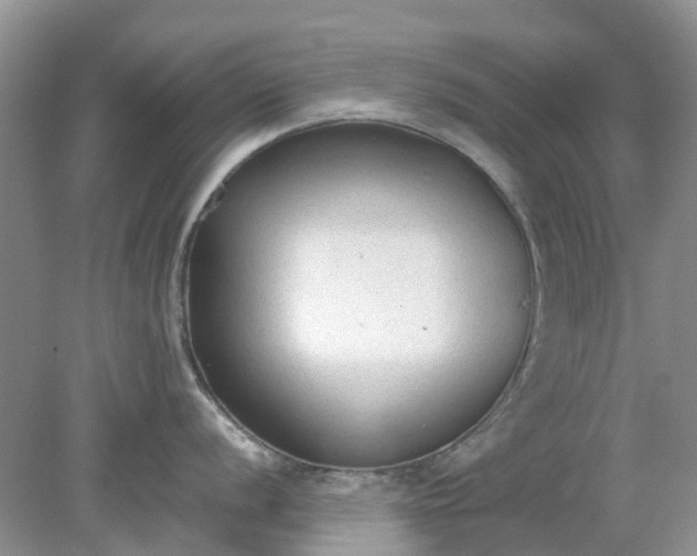 X0000078281056200611172051