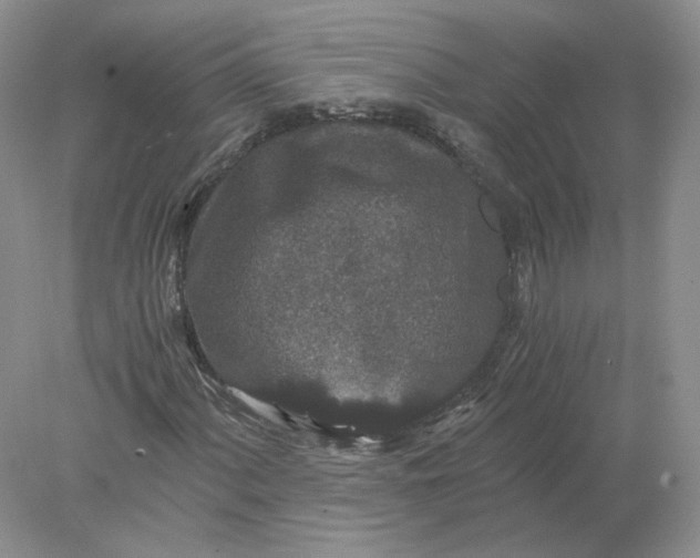 X0000078281060200611172051