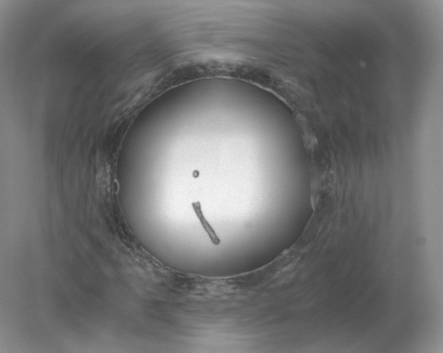 X0000078281061200611172051