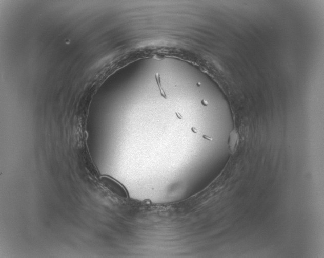 X0000078281062200611172050