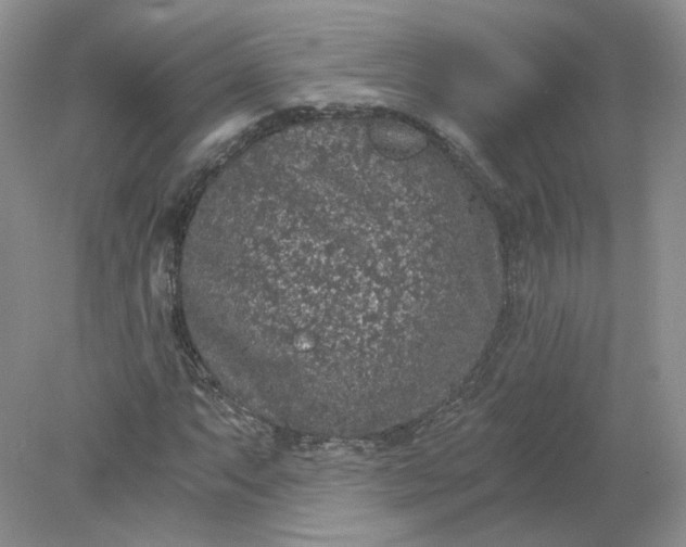 X0000078281063200611172050