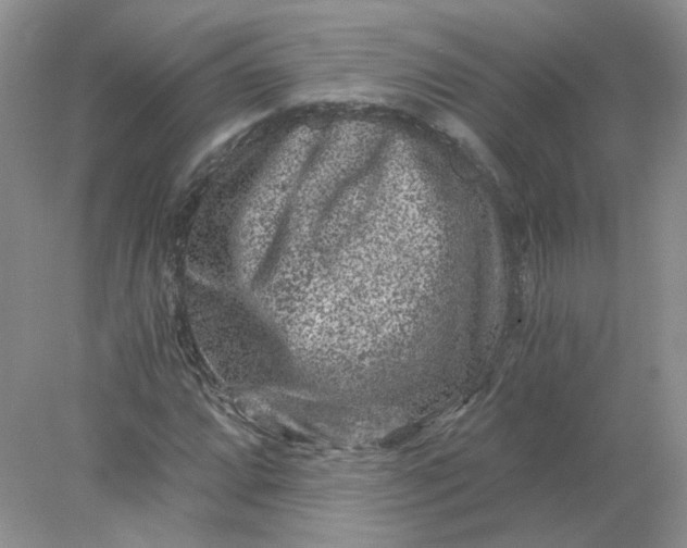 X0000078281064200611172050