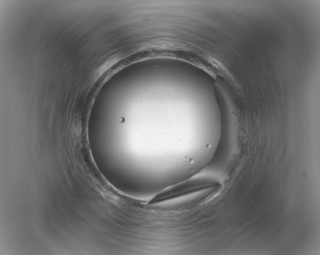 X0000078281065200611172050