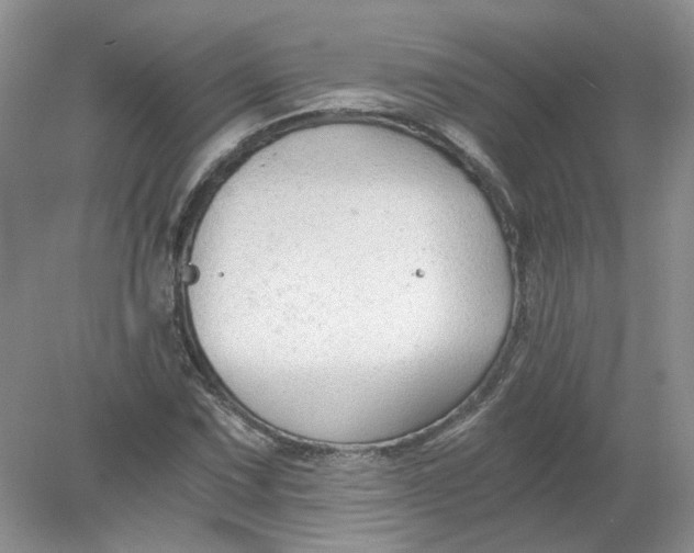 X0000078281067200611172050