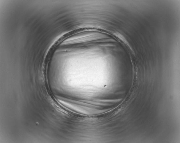 X0000078281068200611172050