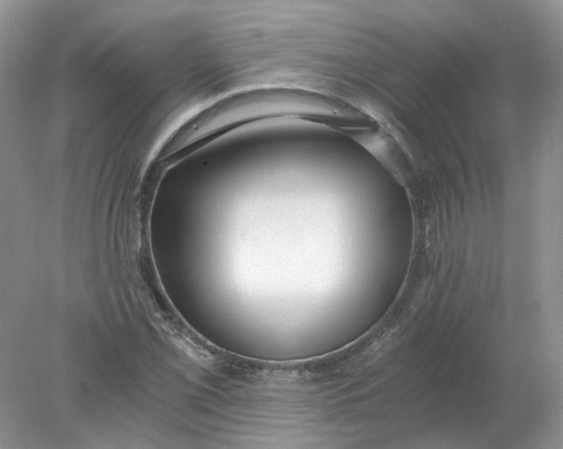 X0000078281069200611172050