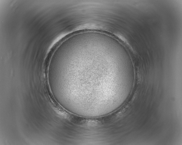 X0000078281070200611172050