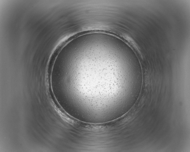 X0000078281072200611172050