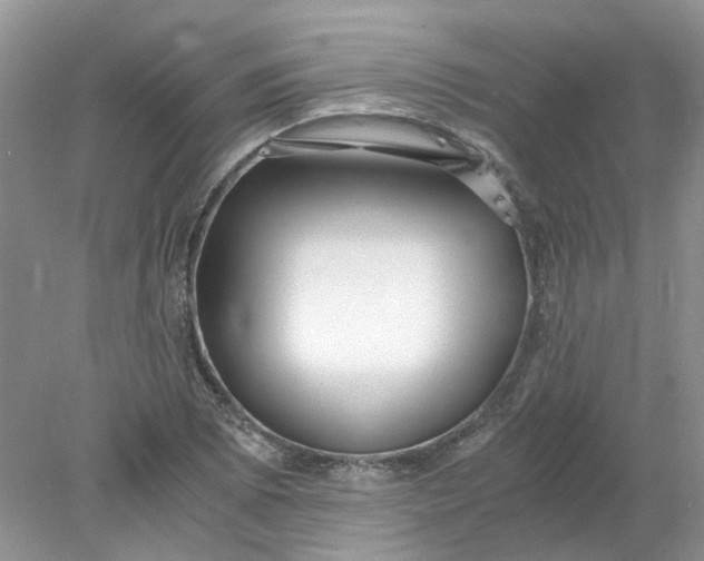 X0000078281073200611172050