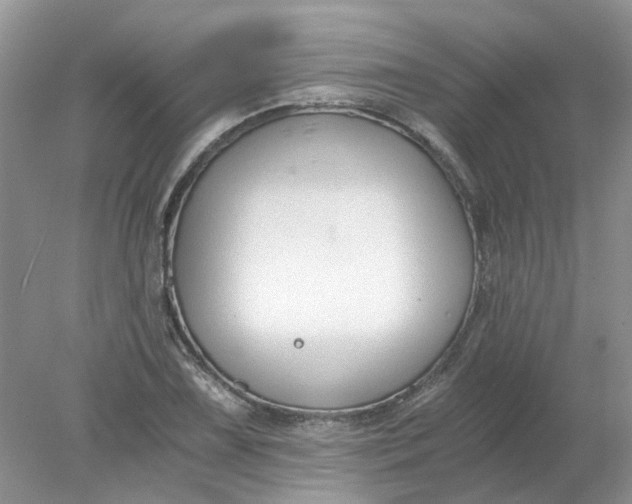 X0000078281075200611172050