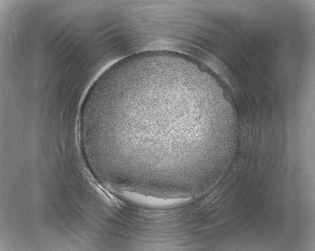 X0000078281076200611172050