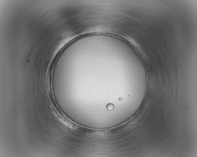 X0000078281078200611172050