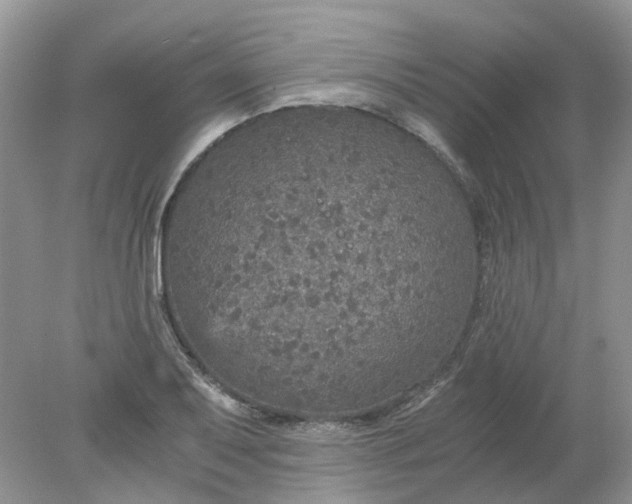 X0000078281079200611172050