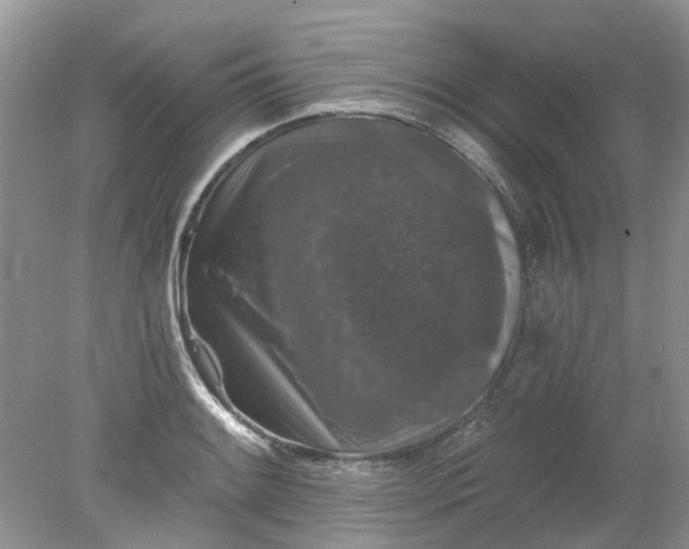 X0000078281084200611172050