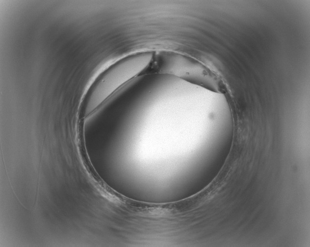 X0000078281085200611172050