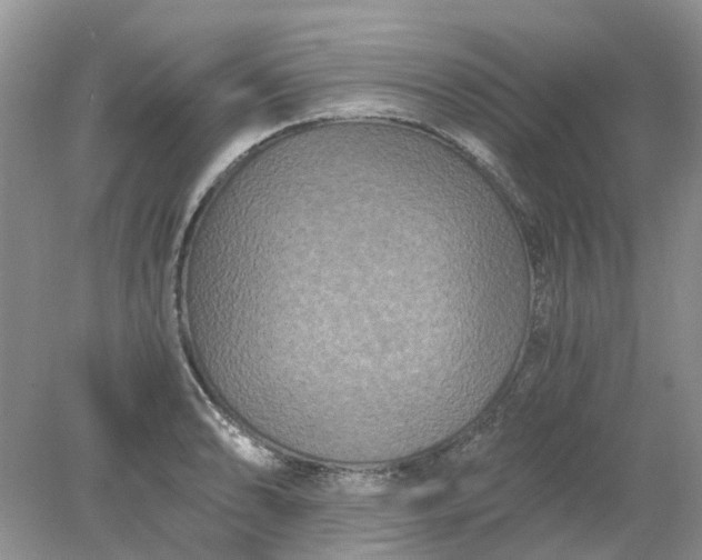 X0000078281086200611172050