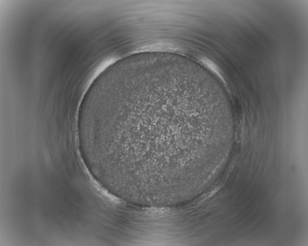 X0000078281087200611172050