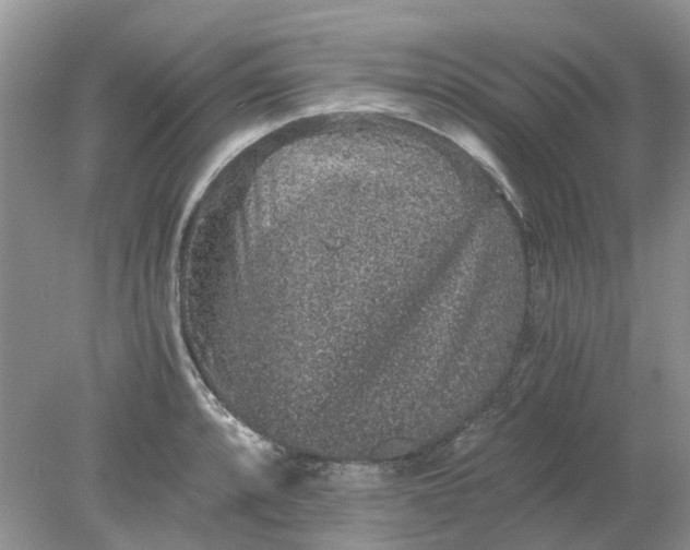 X0000078281088200611172050