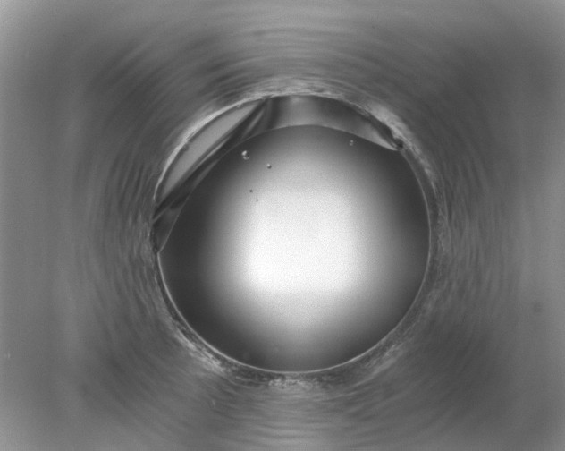 X0000078281089200611172050