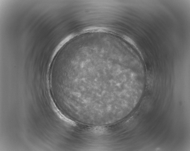 X0000078281090200611172050