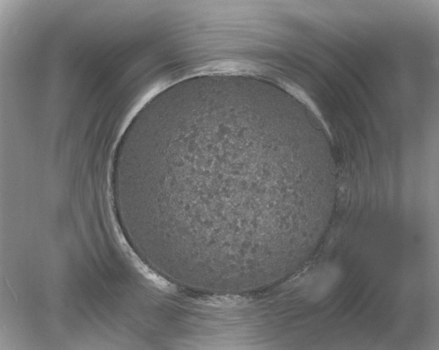 X0000078281091200611172050