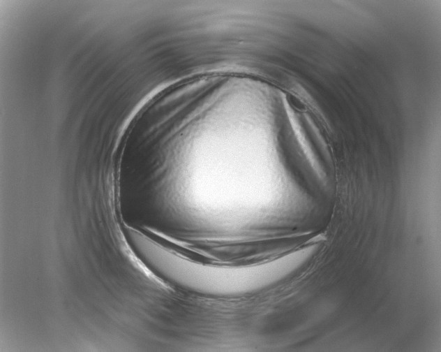 X0000078281092200611172050