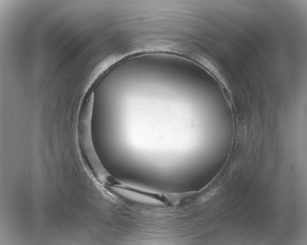 X0000078281093200611172050