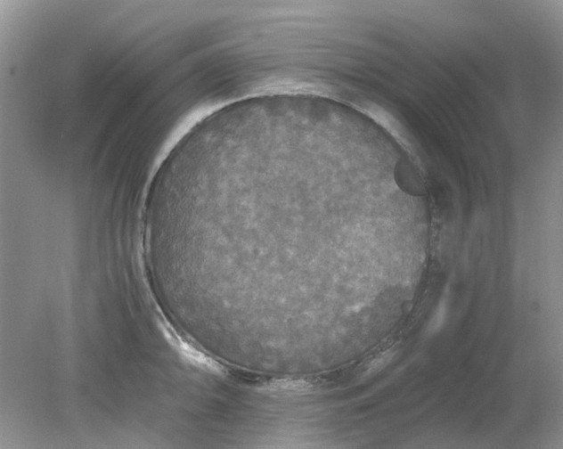 X0000078281094200611172050