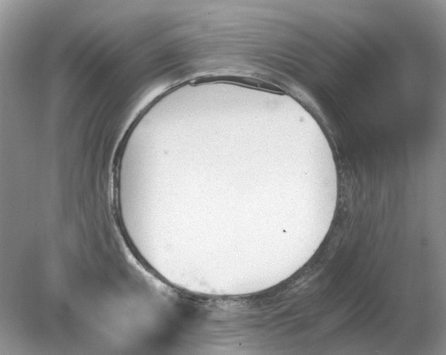 X0000078281095200611172050