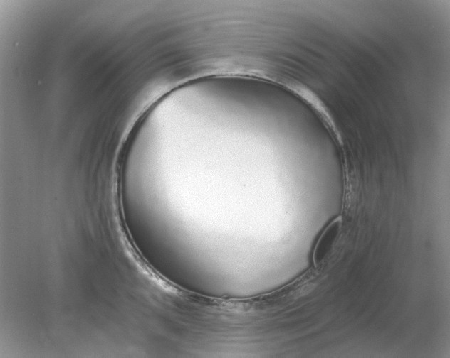 X0000078281096200611172050