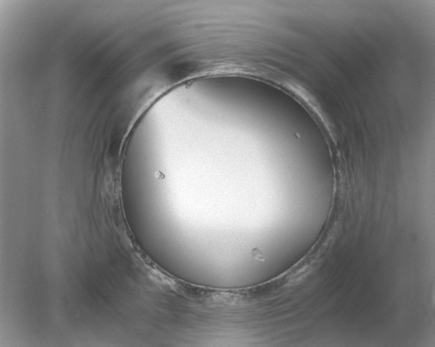 X0000078281097200611172050