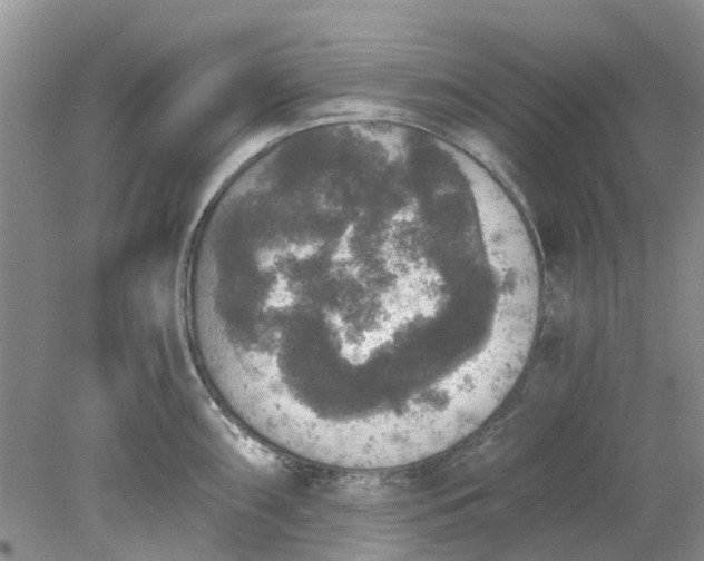 X0000078281098200611172050