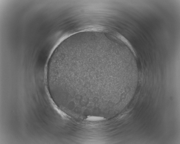 X0000078281099200611172050