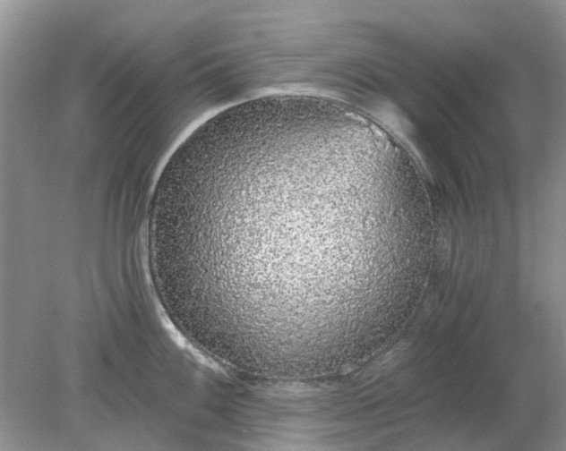 X0000078281100200611172050