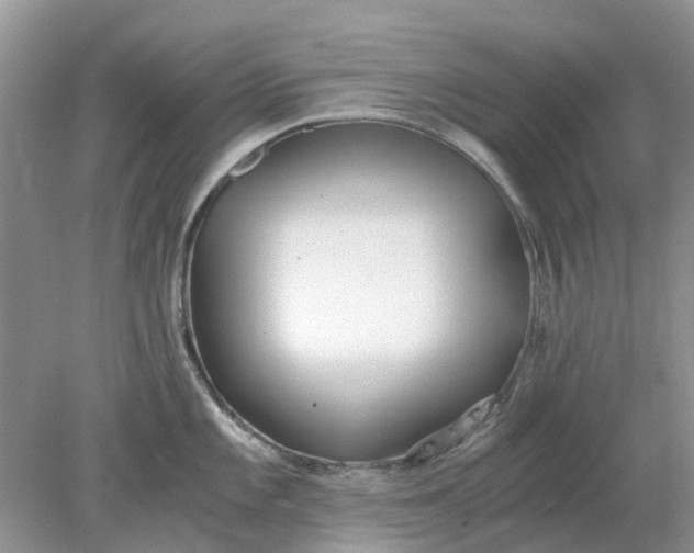 X0000078281101200611172050