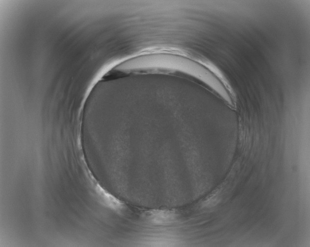 X0000078281102200611172050