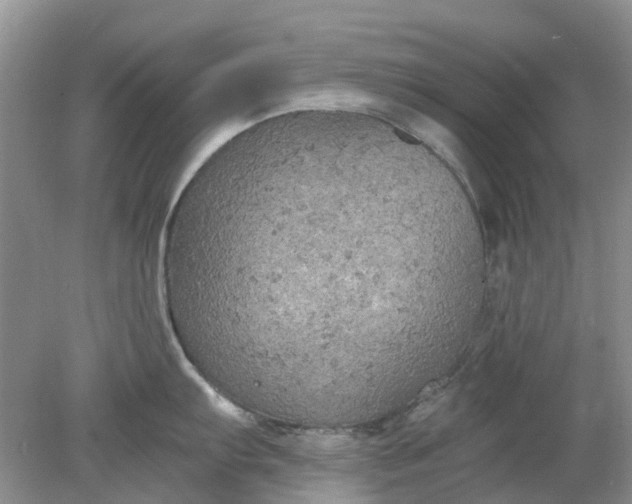 X0000078281103200611172050